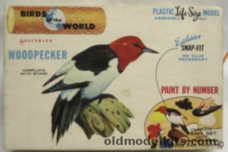 Bachmann 1/1 Birds of the World Woodpecker, 9004-100 plastic model kit